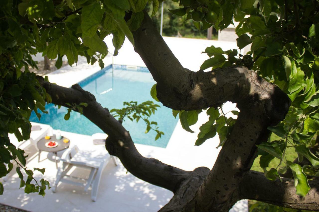 Villa Fig Zmijavci Exterior foto